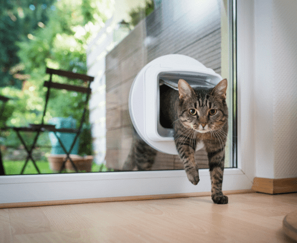 Microchip cat flap close-up