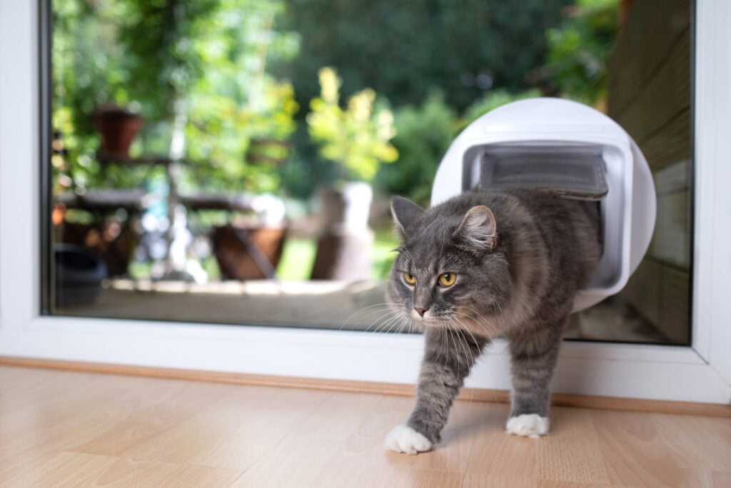 Cat flap installation detail